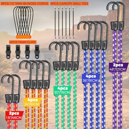 HORUSDY 31-Piece Premium Bungee Cord 6pcs 10" mini Bungee Cords, 2pcs 18"(Red), 4pcs 24"(Yellow), 4pcs 30"(Green), 4pcs 36"(Blue), 2pcs 48"(Purple), 4Pcs Trap Clips, 6pcs Canopy Trap Ball Ties - color: 31pcs 10"/18"/24"/30"/36"/48" Multi-color