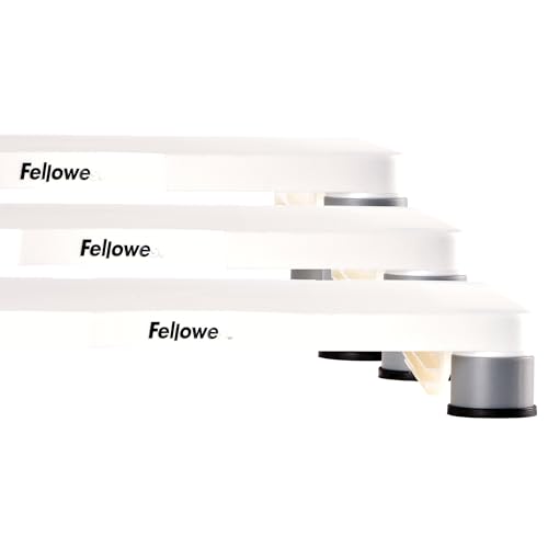 Fellowes Standard Monitor Riser (91712), Platinum/Graphite - size: 1 Count (Pack of 1)