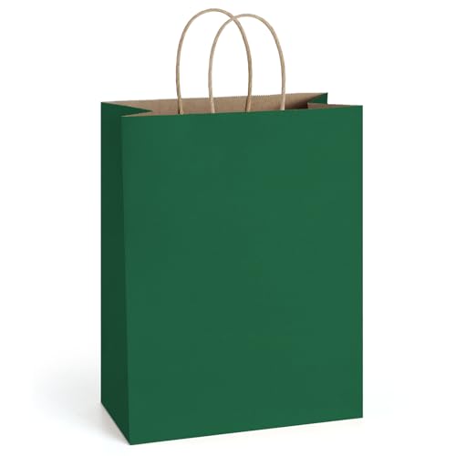BagDream Large Paper Bags with Handles Bulk 10x5x13 100Pcs Forest Green | Kraft Paper, Recycled, Large Gift Bags for Christmas, Thanksgiving, Outings, Forest Theme, Craft, Retail, Grocery, Shopping - color: Forest Green