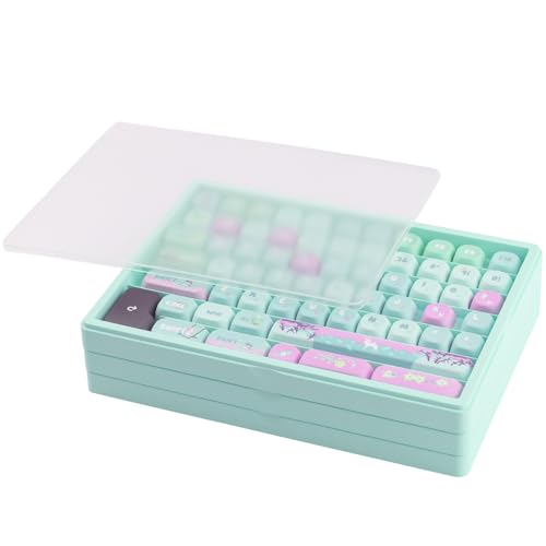 Hyekit Keycaps Storage Box, 3th Floor PBT Dustproof Display Case, 180 Keys Visible Top Cover Keycaps Collection Box for Cherry MOA XDA SA OEM MSA DSA Mao Profile Mechanical Keyboard Keycap (Green)