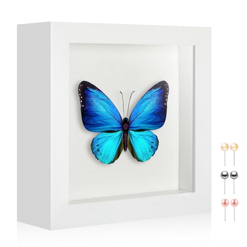 5x5 Shadow Box Picture Frame Display Case with Soft Linen Back-Thickened Panel,Small Mini White Deep Shadow Memory Box Frame 5x5 for Insect Display Pet Photo Memorial Flower Craft - color: White + Thickened Panel + Foam Packaging, size: 5x5