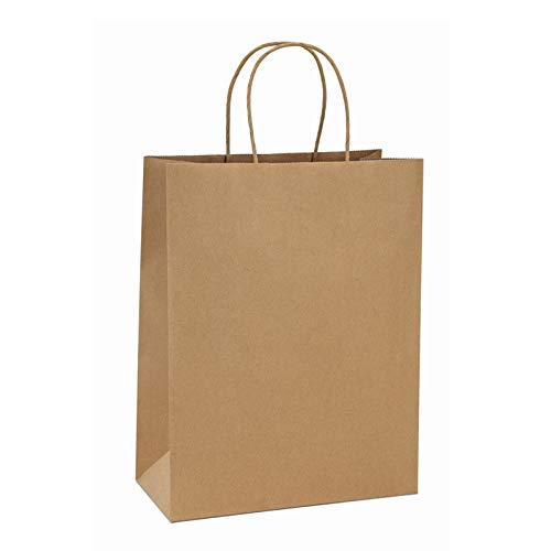 BagDream 10x5x13 Kraft Shopping Bags 100Pcs Brown Paper Bags with Handles Bulk, for Gifts, Merchandise, Retail, Party Favor, Take-out, Grocery, Recycled Paper Gift Sacks - color: Brown