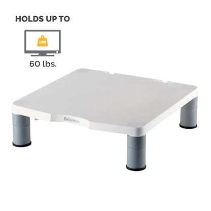 Fellowes Standard Monitor Riser (91712), Platinum/Graphite - size: 1 Count (Pack of 1)