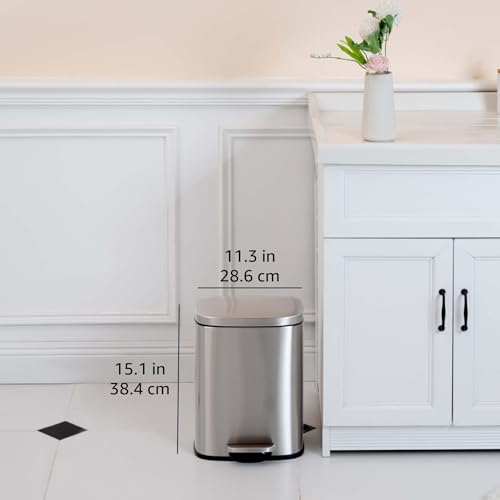 Amazon Basics SMALL Trash Can, 3.1 Gallon (12L), Smudge Resistant Rectangular Bin with Soft-Close Lid, Step Foot Pedal, Removable Inner Bucket, Brushed Stainless Steel, Satin Nickel Finish - size: Small, 12L/3.2 Gal