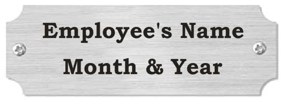 Employee of the Month Plate Inserts (Silver) - color: Silver