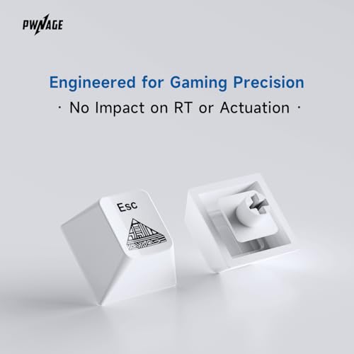 Pwnage Ceramic Keycaps - 60 65 75 100 Percent, Full Set Elegant Key caps, Custom 120 Keys Cherry Profile for 61/68/84/87/98/100 Cherry Gateron MX Hall Effect HE Mechanical Keyboards, White