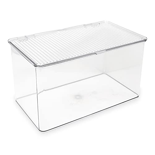 Isaac Jacobs Large Stackable Organizer Bin (10.75” x 6.5” x 6.1”) w Hinged Lid Clear Storage Box Home Office School Fridge Bathroom Kitchen Pantry Container BPAFree Food Safe (Large Clear) - size: Large