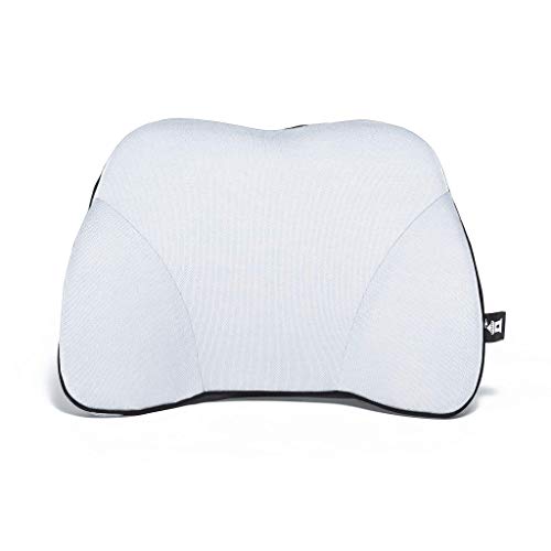 Castle Squire Firm Memory Foam Lower Back Backrest - Dense Foam Padding Lumbar Support Pillow for Home, Office, Auto, and Travel (Squire Size, Bone) - color: Bone, size: Squire