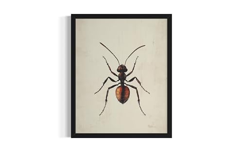 Ant Wall Art Print Poster, Insect Posters Prints Enntomological Painting Artwork 221 (Ant, 24 x 36 inches, Unframed) - color: Ant, size: 36"L x 24"W