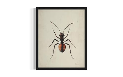 Ant Wall Art Print Poster, Insect Posters Prints Enntomological Painting Artwork 221 (Ant, 18 x 24 inches, Unframed) - color: Ant, size: 24"L x 18"W