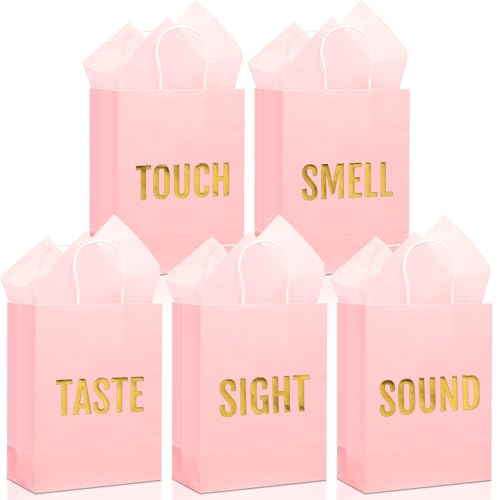 Kolldenn 5 Senses Gift Bags for Him for Her with 10 Pcs Tissue Paper, Paper Bags with Handles Five Senses Gifts for Valentines Christmas Birthday Wedding Anniversary (Pink,8.3 x 4.3 x 10.6 Inch) - color: Pink, size: 8.3 x 4.3 x 10.6 Inch