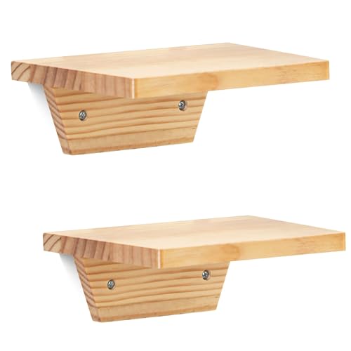PHOENANCEE Small Floating Shelves,Trapezoid Wall Shelf for Speaker Table Lamp Plants Display,Decorative Wood Ledges Chic for Living Room,Bedroom,Kitchen,Office,Pine,8x6 Inch,2 Pack（Natural Wood） - color: Natural Wood, size: Set of 2