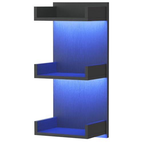 HOOBRO Floating Wall Shelves with LED Lights, Floating Shelf Wall Mounted | Shelf for Storage, Vertical Display Stand, Modern Column Rack, for Bedroom, Livingroom, 3-Tier, 25.6 Inches, Black BK43DBJ01 - color: Black, size: 25.6 Inches