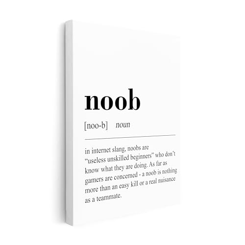 Poster Master Gaming Canvas - Noob Definition Print - Dictionary Art - Black & White Wall Design - Typography Art - Funny Game Room or Boy's Bedroom Wall Decor - Available in 8x10 to 30x40 - color: Style-04