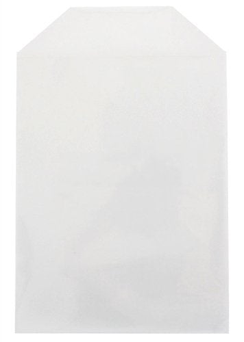 100 Clear CPP Movie Plastic Sleeves + 2 Disc Non-Woven Sleeves by StarTechDeals