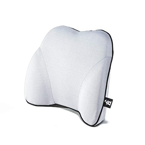 Castle Squire Firm Memory Foam Lower Back Backrest - Dense Foam Padding Lumbar Support Pillow for Home, Office, Auto, and Travel (Squire Size, Bone) - color: Bone, size: Squire