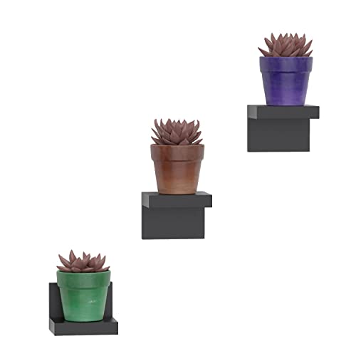 RICHER HOUSE 3-Pack Small Floating Shelves for Wall, Plastic Black Shelf 4 Inch Display Ledges for Small Decor, Mini Shelf for Wall with 2 Types of Installation (Adhesive or Screw) - color: Black - 3 Pcs