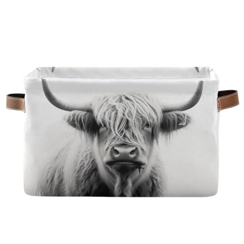 Storage Basket Highland Cow Storage Bin Cube with Handles Foldable Storage Baskets for Shelves Living Room Home Decor 1PC - color: M, size: 1PCS