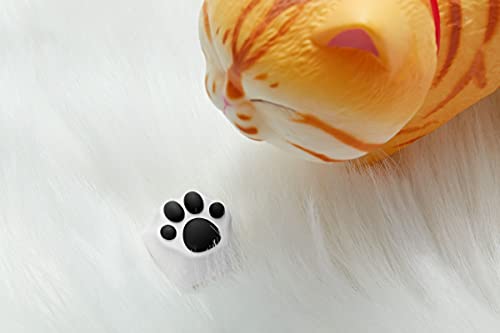 SYA ZOMOPLUS Cute Cat-Claws Keycap - 3D Model OEM Profile Custom Key Caps for Cherry MX Switches Mechanical Gaming Keyboard - Catpaw ESC-Key (WhiteGray-1pcs) - color: WhiteGray-1pcs