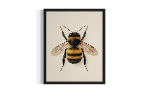 Bumblebee Wall Art Print Poster, Insect Posters Prints Enntomological Painting Artwork 221 (Bumblebee, 20" L x 16" W, Unframed) - color: Bumblebee, size: 20"L x 16"W