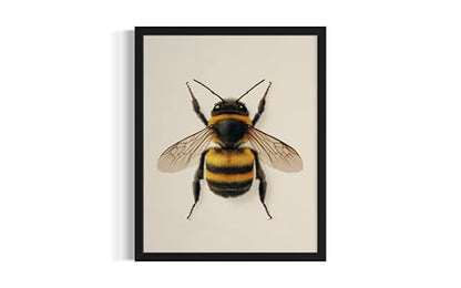 Bumblebee Wall Art Print Poster, Insect Posters Prints Enntomological Painting Artwork 221 (Bumblebee, 18 x 24 inches, Unframed) - color: Bumblebee, size: 24"L x 18"W