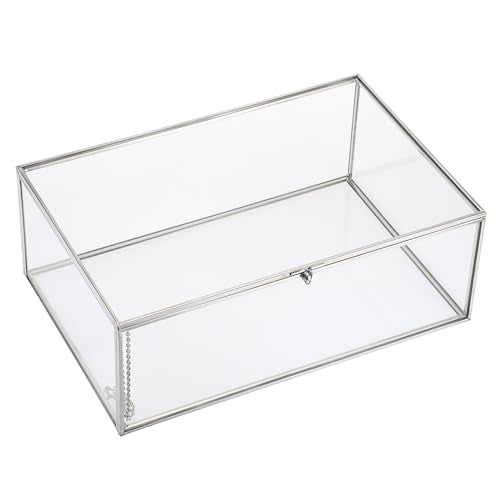 Hipiwe Vintage Silver Rectangle Jewelry Display Organizer Box with Lid, X-Large, USSN202312DUH - color: Silver, size: X-Large