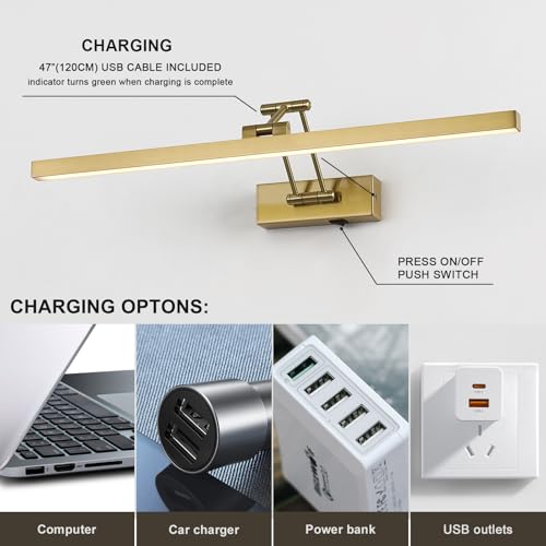 5W LED Wireless Picture Lights with Remote and Timer 23.6'' Inch Rechargeable Brass Gallery Lighting Battery Operated Art Lights Over Frame Portrait - color: Battery Operated Brass, size: 23.6 inch