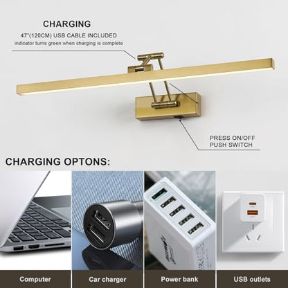 5W LED Wireless Picture Lights with Remote and Timer 23.6'' Inch Rechargeable Brass Gallery Lighting Battery Operated Art Lights Over Frame Portrait - color: Battery Operated Brass, size: 23.6 inch