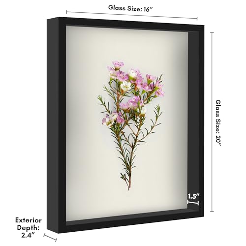 Americanflat 16x20 Shadow Box Frame with Polished Plexiglass - Silhouette Collection - Large Shadow Box Display Case for Tabletop and Wall Display - Black with Soft Felt Back - color: Black, size: 16x20