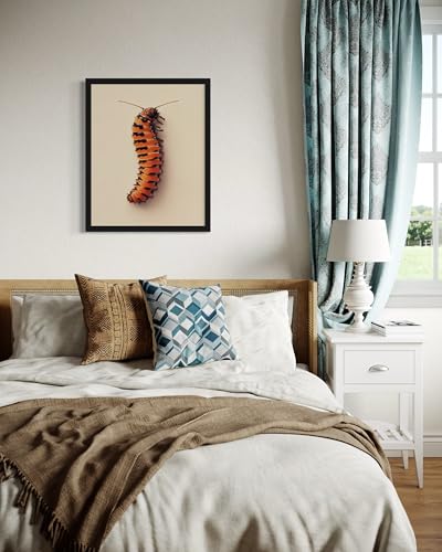 Caterpillar Wall Art Print Poster, Insect Posters Prints Enntomological Painting Artwork 221 (Caterpillar, 16 x 20 inches, Unframed) - color: Caterpillar, size: 20"L x 16"W