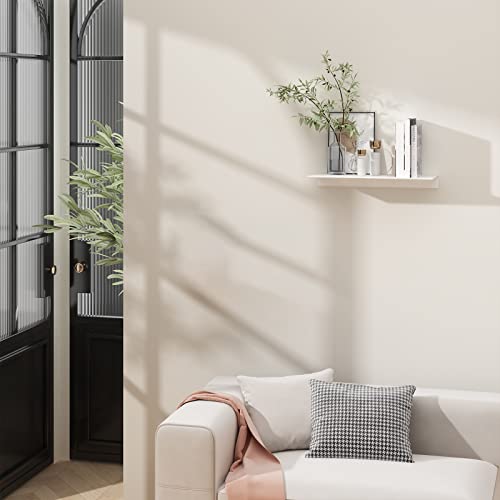 Danpoo 12 inch White Metal Wall Shelf Small Floating Shelf for Wall Organizer & Storage, Display Shelf for Bathroom, Living Room, Kitchen, Bedroom - color: White, size: 12 in
