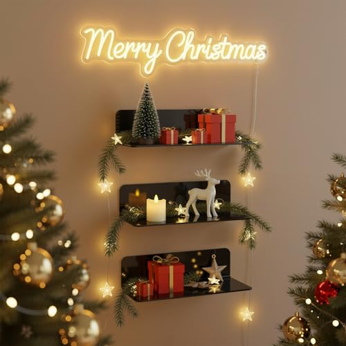 OAPRIRE Acrylic Floating Wall Shelves Set of 2, Damage-Free Expand Wall Space, Small Display Shelf for Smart Speaker/Action Figures with Cable Clips - color: Black