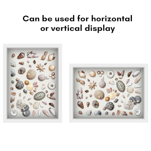 Americanflat 12x16 Shadow Box Frame with Polished Plexiglass - Silhouette Collection - Large Shadow Box Display Case for Tabletop and Wall Display - White with Soft Felt Back - color: White, size: 12x16