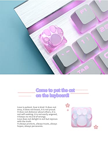 SYA ZOMOPLUS Cute Keycaps,Novelty Cat-Claws Keycap 3D Model OEM Profile Keyboard Keycaps Custom Shine-Though Key Caps for Cherry MX Switches Mechanical Gaming Keyboard Catpaw ESC-Key Keycap(2 Pack) - color: 2 Pack