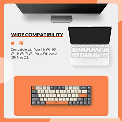ZIYOU LANG RK-T8 Wired 65% Mechanical Gaming Keyboard with RGB LED Backlit Anti-ghosting TKL Mini 68 Key Custom Coiled C to A Cable Tactile Blue Switch for PS4 PS5 Xbox PC Mac Gamer(Dark Gray/White) - color: Dark Gray White, size: 65% Keyboard