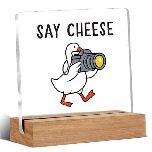 Photography Gifts for Photographers, Funny Camera Goose Gifts for Camera Lovers Friends Coworker, Photographer Acrylic Plaque Desk Signs Decor 4 × 4 Inches - color: CHEESE