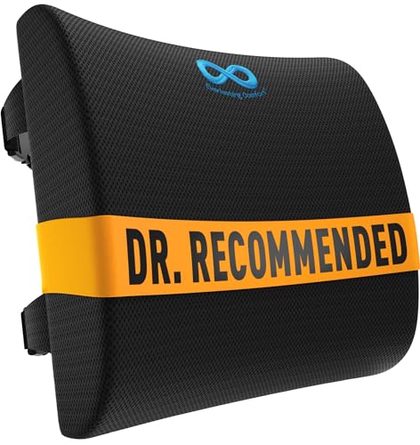 Everlasting Comfort The Original Lumbar Support Pillow for Office Chair - Improves Posture, Promotes Back Pain Relief - Superior Back Support for Gaming and Desk Chairs - Lumbar Pillow for Car, Couch - color: A. Black Mesh