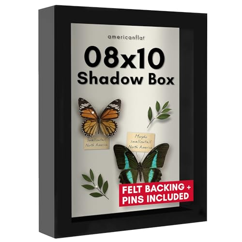 Americanflat 8x10 Shadow Box Frame with Shatter-Resistant Glass - Silhouette Collection - Large Shadow Box Display Case for Tabletop and Wall Display - Black with Soft Felt Back - color: Black, size: 8x10