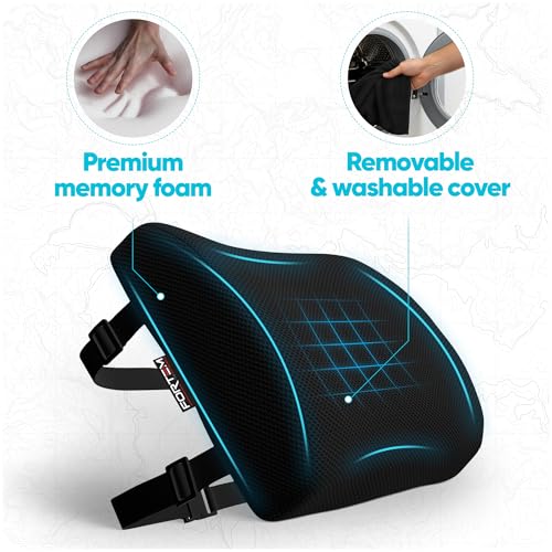 FORTEM Lumbar Support Pillow for Office Chair, Lumbar Support Pillow for Car, Back Rest for Gaming, Memory Foam Pillow, Desk Chair Cushion, Breathable & Washable Cover, Adjustable Straps - color: Black Mesh