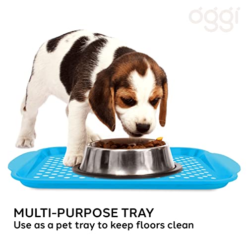 OGGI Anti Slip Serving Tray with Handles- Blue Rectangle Serving Tray - Ideal for Eating, Breakfast, Food Tray, Appetizer, Serving - color: Aqua, size: 17.3" x 11.5" x 1.3"