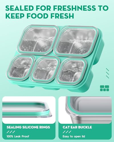 BiuLeon Snackle Box Containers, Stainless Steel 5 Compartments Divided Serving Tray with Lid, Removable LeakProof Portable Bento Box for Fruit Candy Nuts Food - School, Picnic and Travel（Green） - color: Green