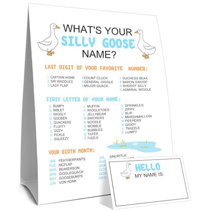 What's Your Silly Goose Name Game, What's Your Silly Goose Name Game Card, Gooses Names Games Sign 30 Sticker Cards, Gooses Baby Shower, Birthday Party Activities Decorations Names Card for Boys Girls - style: Sillygoose