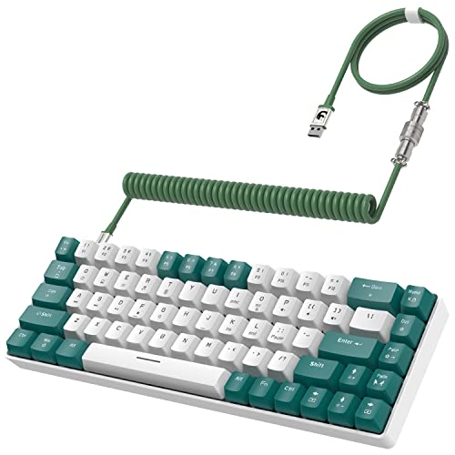 ZIYOU LANG RK-T8 Wired 65% Mechanical Gaming Keyboard with RGB LED Backlit Anti-ghosting TKL Mini 68 Key Custom Coiled C to A Cable Tactile Blue Switch for PS4 PS5 Xbox PC Mac Gamer(Green/White) - color: Green White, size: 65% Keyboard