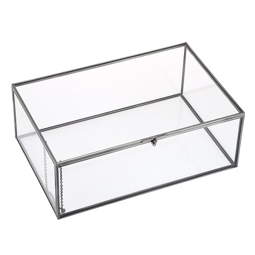 Hipiwe Vintage Glass Box with Lid - Rectangle Jewelry Display Organizer Box Black Vanity Lidded Box Home Decor Accent Decorative Box for Keepsakes Trinket Rings,X-Large - color: Black, size: X-Large