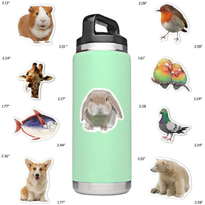 Zoo Animal Stickers, 50Pcs Realistic Safari & Wildlife Waterproof Vinyl Stickers for Water Bottles, Laptop, Party Favors, Classroom Rewards & Gift Pack - style: Animal Stickers