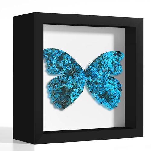 Picrit 5x5 Shadow Box Frame, Display Case Box with High Definition Real Glass and Black Back for Memorabilia, Baby Items, Wedding Memories, Crafts, Tickets and Photos, Black - color: Black, size: 5x5