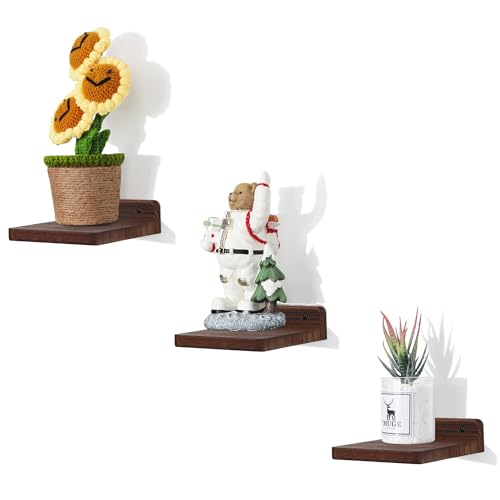 Small Floating Shelf,5x5 Inch Dark Walnut,Set of 3 Small Wall Shelves for Bedroom Living Room Bathroom Kitchen Decor - color: Dark Walnut, size: 5 Inch-3 Pcs