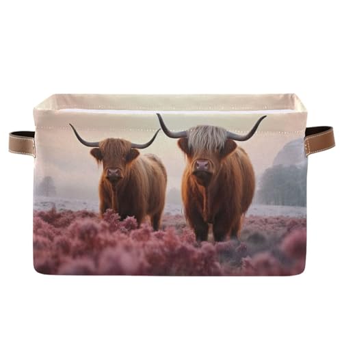 Storage Basket Two Highland Cows Storage Bin Cube with Handles Foldable Storage Baskets for Shelves Living Room Home Decor 1PC - color: N, size: 1PCS