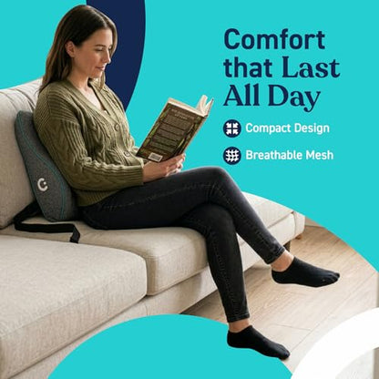 Cubii Cushii V2 Back Support Cushion for Back and Lower Back Pain Relief Universal Fit for Desk, Office, Kitchen Chairs, Couch Cushions with Advanced Lumbar Support - size: 17 Inches