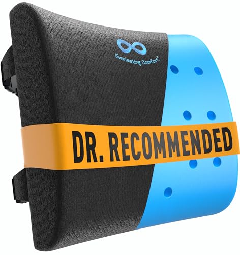 Everlasting Comfort The Original Lumbar Support Pillow for Office Chair - Improves Posture, Promotes Back Pain Relief - Superior Back Support for Gaming and Desk Chairs - Lumbar Pillow for Car, Couch - color: B. Black Cool Mesh